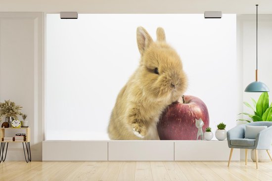 Papier peint photo peint photo vinyle - Bébé lapin avec une pomme largeur 450 cm x hauteur 300 cm - Tirage photo sur papier peint (disponible en 7 tailles)