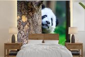 Behang - Fotobehang Panda - Boom - Bos - Breedte 240 cm x hoogte 240 cm