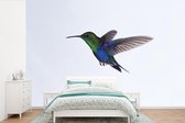 Behang - Fotobehang Vogels - Kolibrie - Groen - Blauw - Breedte 360 cm x hoogte 240 cm