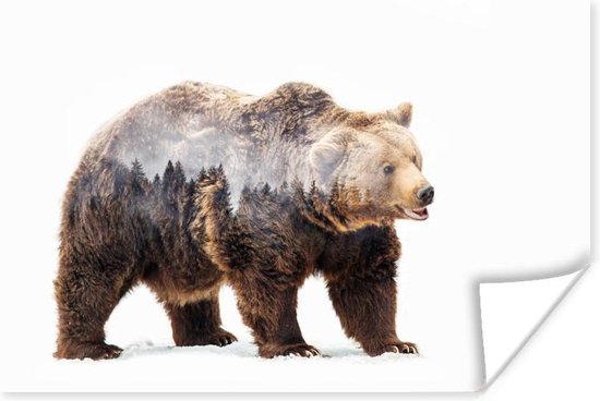 Poster Multi exposure van een beer en een bos - 120x80 cm