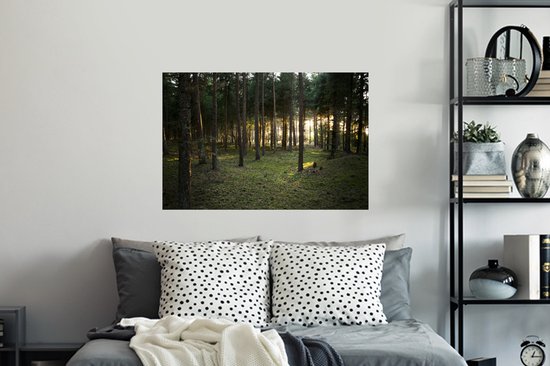 Sticker Muursticker Forêt - Soleil qui brille à travers les arbres de la forêt - 90x60 cm - feuille autocollante - sticker mural repositionnable