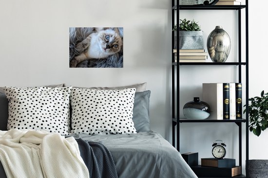 Poster Siamese kitten met blauwe ogen op een deken van schapenvacht - 40x30 cm