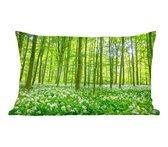 Sierkussen' intérieur Forest - Arbres verts dans la forêt - 50x30 cm - Coussin intérieur rectangulaire en coton