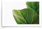 Walljar - Leaf Close Up - Muurdecoratie - Poster