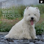 West Highland White Terrier Kalender 2022