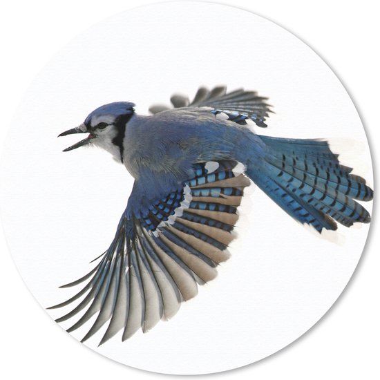 Muismat - Mousepad - Rond - Vogel - Veren - Wit - 30x30 cm - Ronde muismat