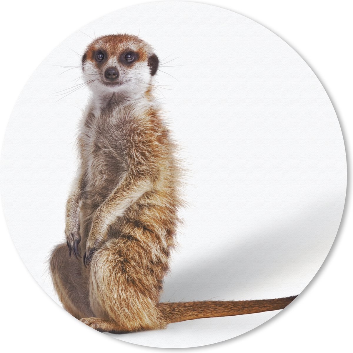 Muismat rond 20x20 cm - Mousepad Stokstaartje - Dieren - Vacht - Ronde muismatten