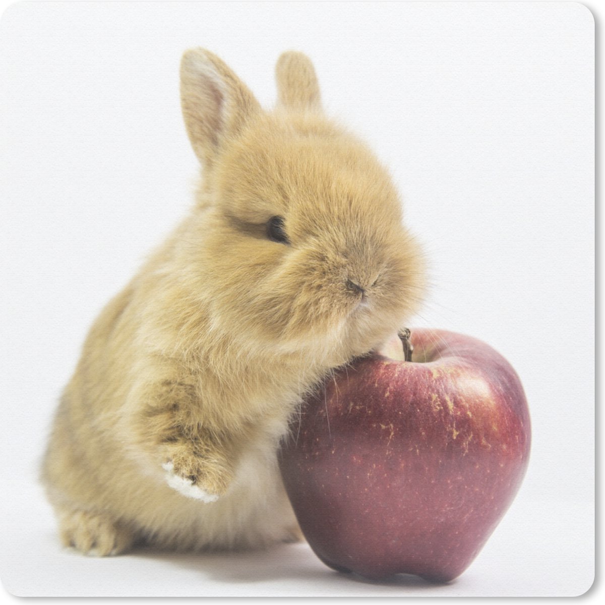 Muismat 20x20 cm - Mousepad Konijn - Baby - Appel - Muismatten