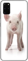 Coque Samsung Galaxy S20 Plus - Cochon - Animaux - Wit - Siliconen - Sinterklaas - Noël - Cadeaux - Cadeaux chaussures