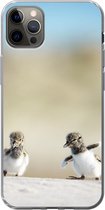 Geschikt voor iPhone 12 Pro Max hoesje - Jongen - Zand - Vogels - Siliconen Telefoonhoesje
