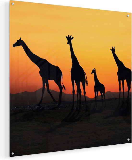 Artaza Glasschilderij - Vier Giraffe Silhouetten Bij Zonsondergang - 60x60 - Plexiglas Schilderij - Foto op Glas