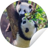 Tuincirkel Panda's - Boom - Natuur - 120x120 cm - Ronde Tuinposter - Buiten XXL / Groot formaat!