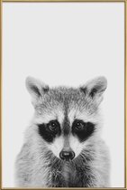 JUNIQE - Poster met kunststof lijst Raccoon Classic -20x30 /Wit &