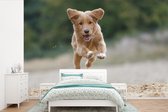 Behang - Fotobehang Rennende hond foto - Breedte 420 cm x hoogte 280 cm