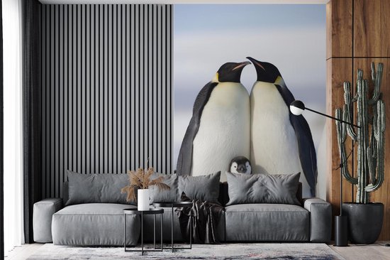 Papier peint - Papier peint photo Pingouin - Famille - Neige - Largeur 180 cm x Hauteur 280 cm