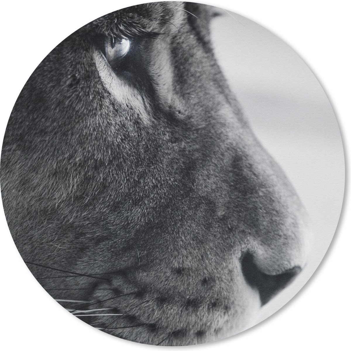 Muismat rond 20x20 cm - Mousepad Dierenprofiel leeuw in zwart-wit - Ronde muismatten