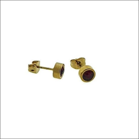 Aramat jewels ® - Ronde zweerknopjes zirkonia donker rood goudkleurig chirurgisch staal 6mm