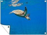 Tuinschilderij Schildpad zwemmend in oceaan - 80x60 cm - Tuinposter - Tuindoek - Buitenposter