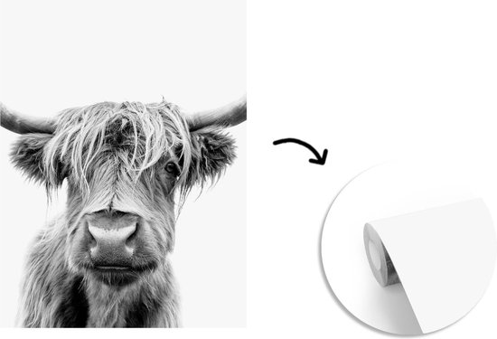 Papier peint - Papier peint photo Vache - Highlander écossais - Zwart - Wit - Largeur 190 cm x hauteur 260 cm