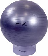 GYMBALL 55CM (SILVER)