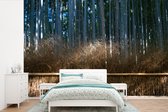 Arashiyama bambous dans une forêt Japon papier peint photo vinyle 390x260 cm - Tirage photo sur papier peint
