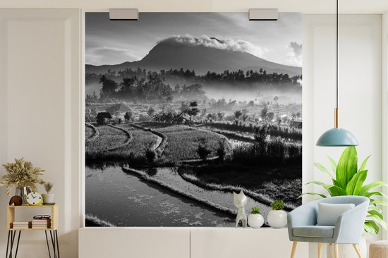 Papier peint Papier peint photo en vinyle - Rizières de Tirtagangga à Bali en Indonésie - noir et blanc largeur 220 cm x hauteur 220 cm - Tirage photo sur papier peint (disponible en 7 tailles)