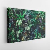 Onlinecanvas - Schilderij - Prachtige Natuur Achtergrond Verticale Tuin Met Tropisch Blad Art Horizontaal Horizontal - Multicolor - 50 X 40 Cm