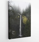 Natuurfotografie van waterval - Modern Art Canvas - Verticaal - 3633626 - 50*40 Vertical
