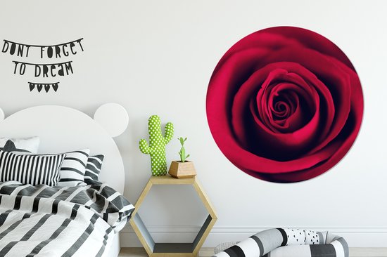 WallCircle - Wall Circle - Wall Circle Indoor - Roses - Rouge - Détail - 120x120 cm - Décoration murale - Peintures Ronds XXL