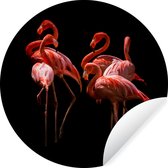 WallCircle - Muurstickers - Behangcirkel - Flamingo's - Vogels - Veren - Zwart - ⌀ 120 cm - Muurcirkel - Zelfklevend - Ronde Behangsticker XXL