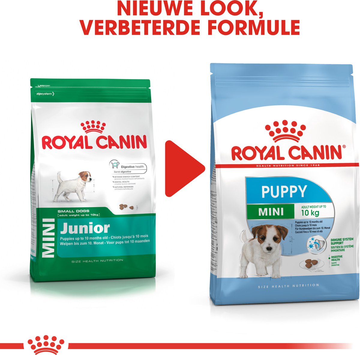 Royal Canin Mini Junior 8 KG | bol.com