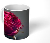Mok - Rozen - Schaduw - Rood - 350 ML - Beker