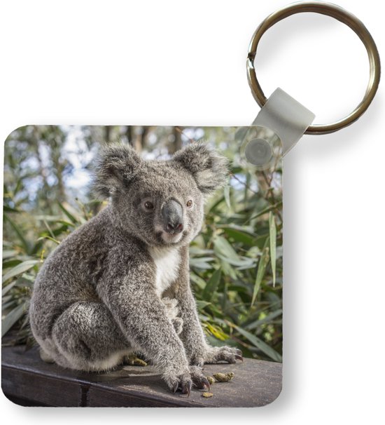 Sleutelhanger - Uitdeelcadeautjes - Koala - Plank - Planten - Kinderen - Jongens - Meiden - Plastic