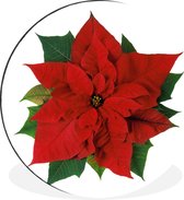WallCircle - Wandcirkel - Muurcirkel - Kerstster - Kerstbloem - Kerst - Aluminium - Dibond - ⌀ 90 cm - Binnen en Buiten