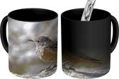 Magische Mok - Foto op Warmte Mok - Rode rotslijster zit op steen voor een rotslandschap - 350 ML
