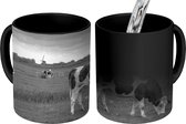 Magische Mok - Foto op Warmte Mok - Grazende koeien op een dijk - zwart wit - 350 ML