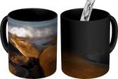 Magische Mok - Foto op Warmte Mok - Zeeleeuwen - Rotsen - Kust - 350 ML