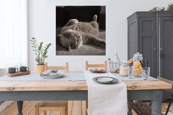 Affiche Animal - Chat - Grijs - 100x100 cm XXL