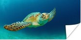 Poster Close-up foto van groene zeeschildpad - 120x60 cm