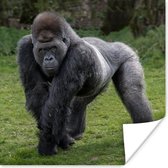 Poster Een Gorilla loopt op zijn handen en benen - 30x30 cm