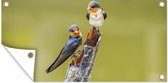 Affiche clôture Vogels - Branche - Portrait - 200x100 cm - Toile de jardin