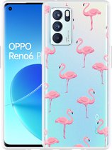 Oppo Reno6 Pro 5G Hoesje Flamingo - Designed by Cazy