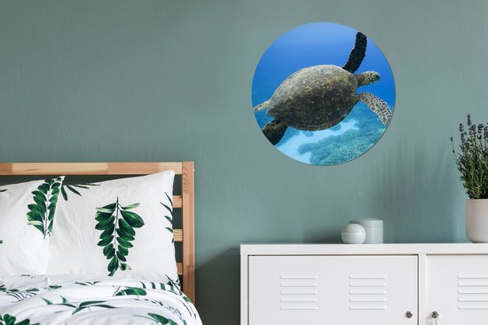 WallCircle - Peinture - Tortue Verte Nageuse Photo Tirage Et - Multicolore - 60 X 60 Cm