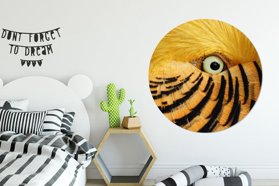 WallCircle - Wall Circle - Wall Circle Indoor - Gros plan d'un oeil d'oiseau avec plumes jaunes et rayures noires - 150x150 cm - Décoration murale - Peintures Ronds