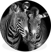 WallCircle - Wandcirkel - Muurcirkel - Dierenprofiel zebra's in zwart-wit - Aluminium - Dibond - ⌀ 60 cm - Binnen en Buiten