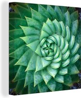 Toile de plantes succulentes en spirale 2cm 90x90 cm - Tirage photo sur toile (Décoration murale salon / chambre)