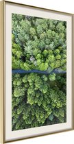 Poster Forest from a Bird's Eye View 40x60