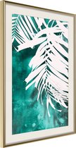 Poster White Palm on Teal Background 20x30