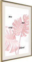 Poster Pale Pink Monstera 20x30