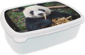Broodtrommel Wit - Lunchbox - Brooddoos - Panda - Bamboe - Natuur - 18x12x6 cm - Volwassenen